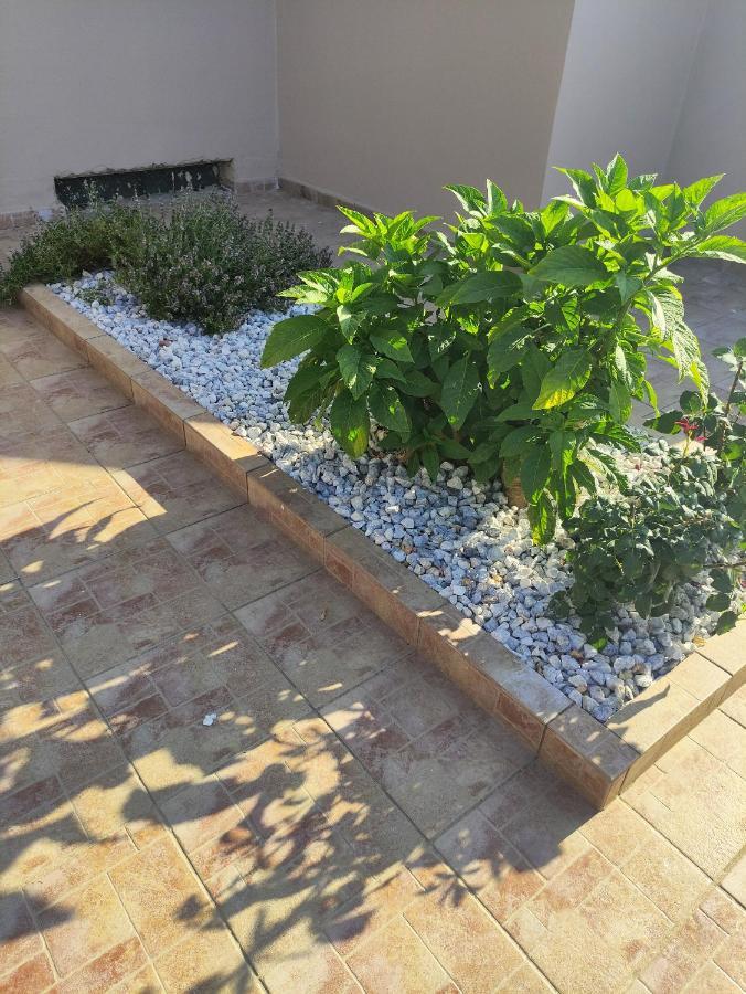 #4 Giorgos & Chara Apartments Nea Kydonia  Ngoại thất bức ảnh